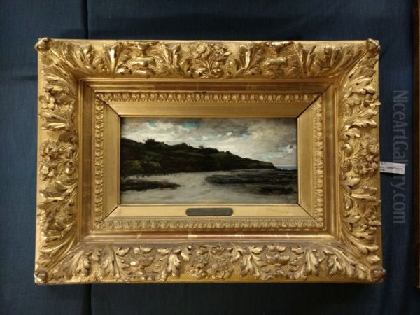 Somber rotskust-landschap in Bretagne - view 1