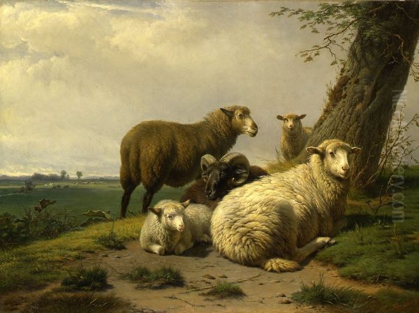 Landschap met schapen bij een boom - view 1