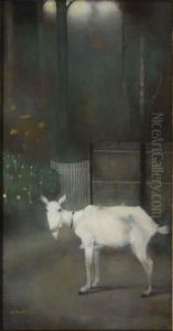The old goat The old goat