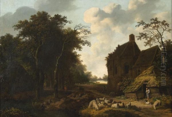 Zomers boslandschap - view 1