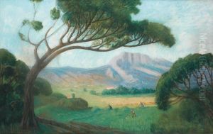 Paysage Au Pin