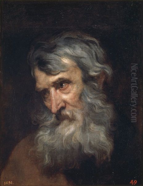 The Head of an Old Man - view 1