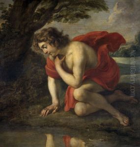Narcissus