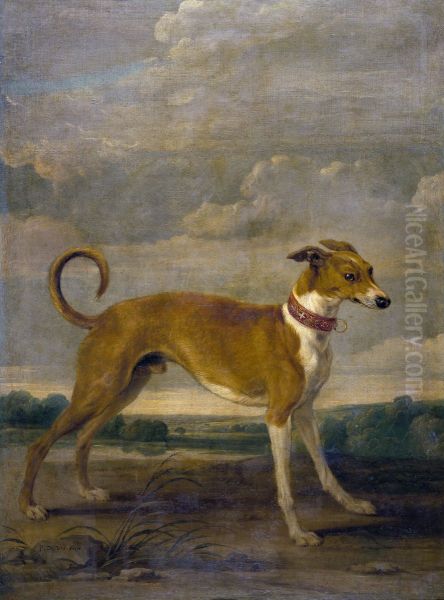 A dog - view 1