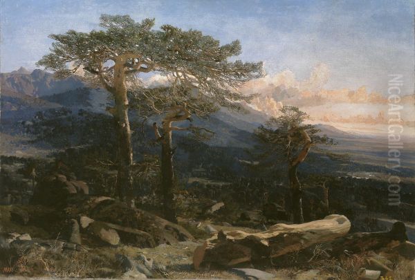 Paisaje del Guadarrama - view 1