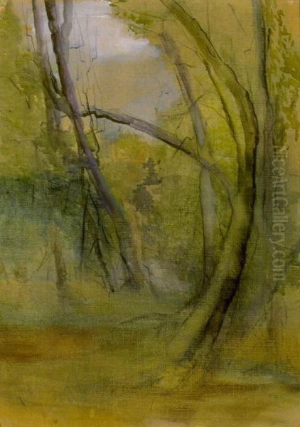 Old Trees, Faeron's Bush, Motueka - view 1