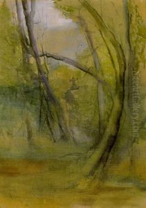 Old Trees, Faeron's Bush, Motueka by Mina Arndt
