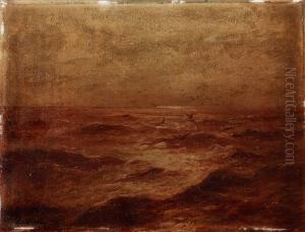 Mare - view 1