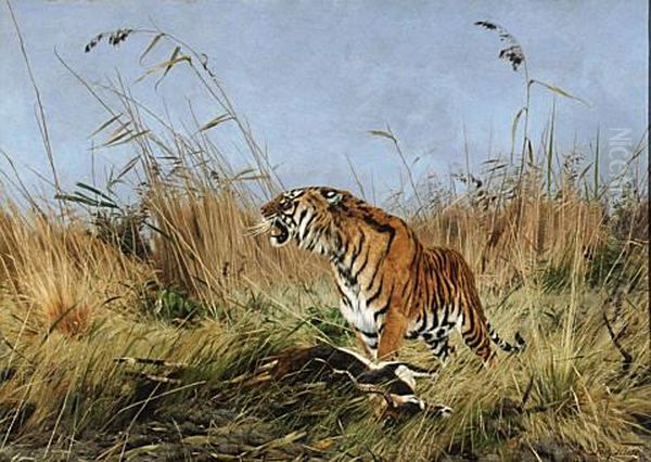 The Tiger - view 1
