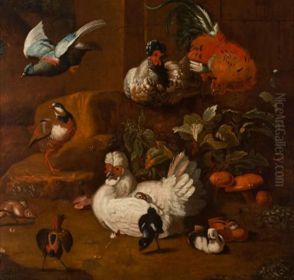 A Gathering of Birds - view 1