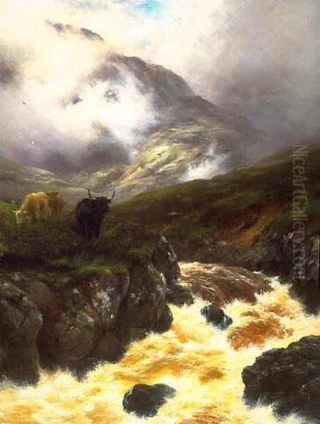 A Highland glen - view 1