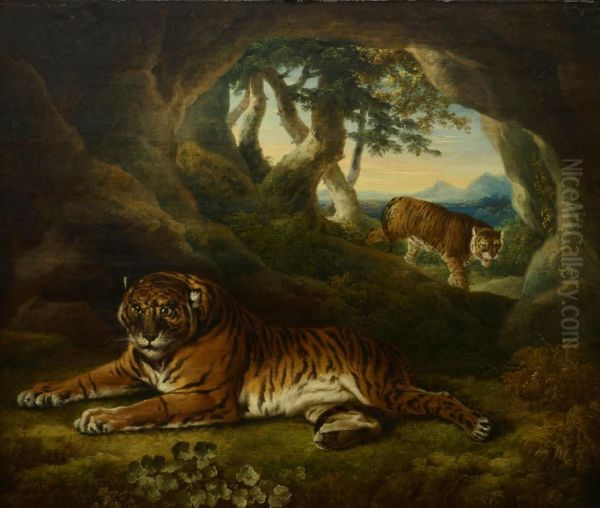 Two tigers in a rocky landscape - view 1