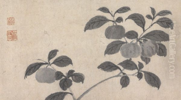Branch of Fruit Bearing Tree - view 1