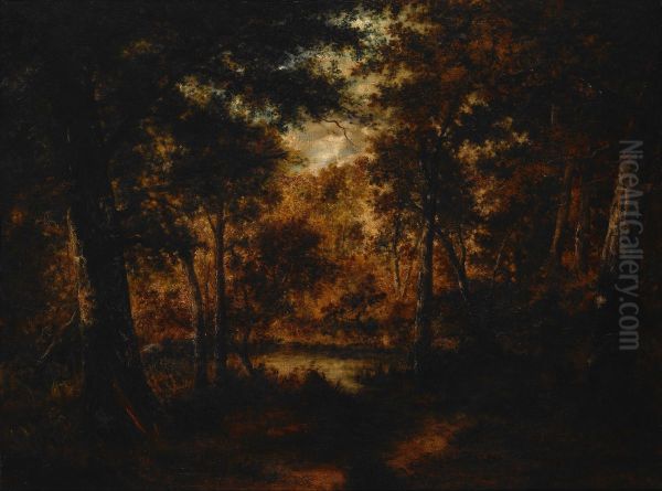 The Fairy Pool - view 1