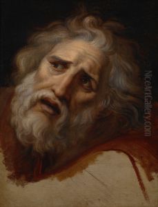 Lfr,"Tete de Laocoon"label QS:Len,"Head of Laocoon"