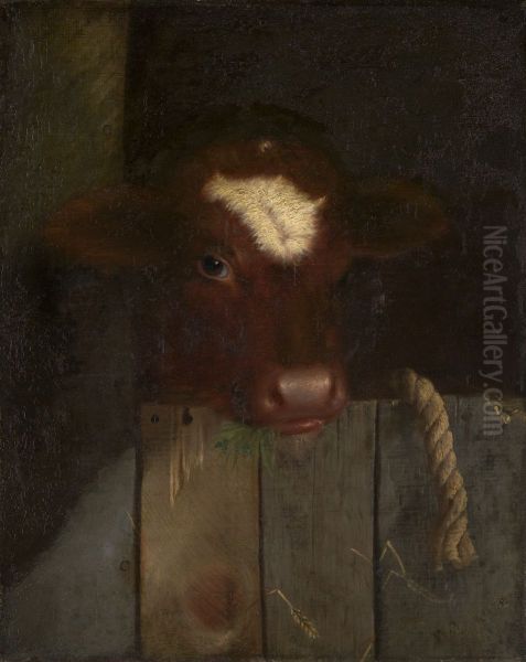 The Family Cow (Calf's Head) - view 1