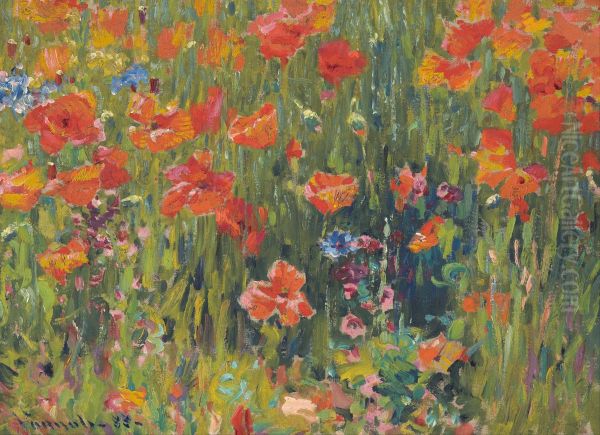 Poppies - view 1