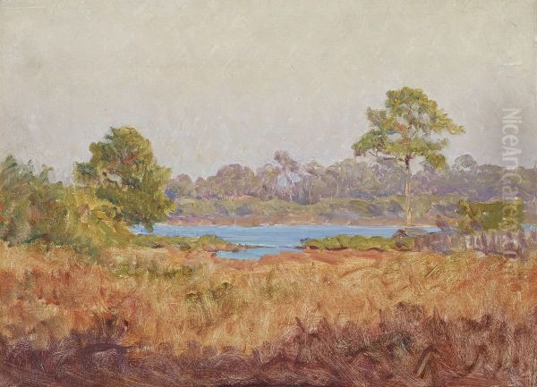 Field Study, Florida - view 1