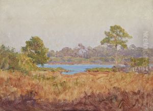 Field Study, Florida Field Study, Florida