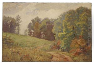 Indiana Landscape
