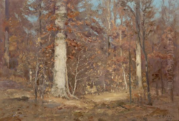 Landscape - view 1