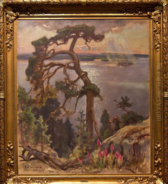 Maisema Kolilta - view 1