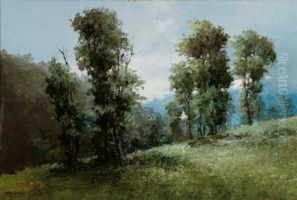 Nebbio E Sole Montagne - view 1