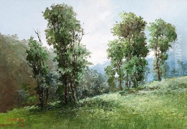 Bewaldete Berglandschaft - view 1