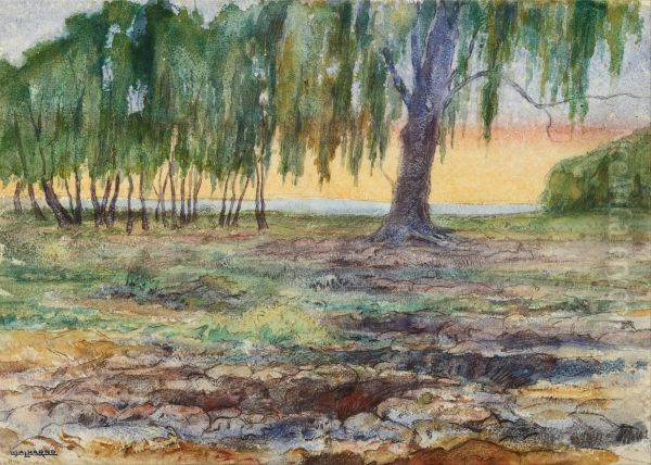 Paisaje - view 1