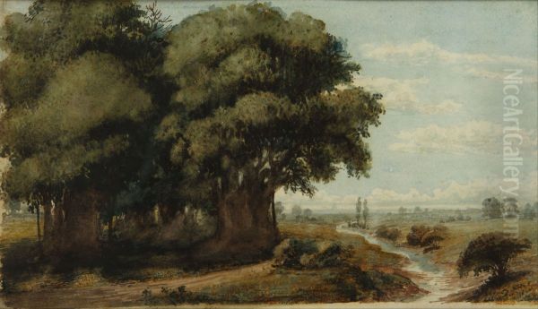 Caprocho (Olivos 13 Nov. 1858) - view 1