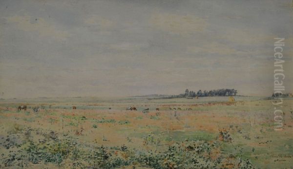 Plains or La Portena Ranch, Moreno - view 1