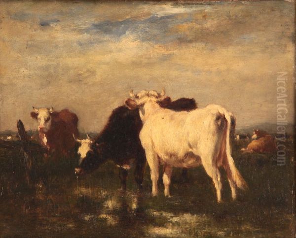 Cows in landscape - view 1