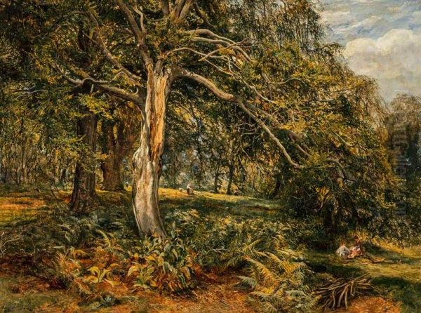 A Glade in Cadzow Forest - view 1