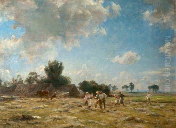 Haymakers - view 1