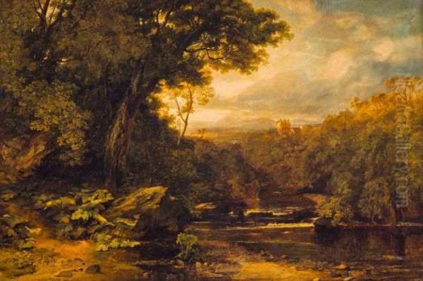 A Lowland River - view 1