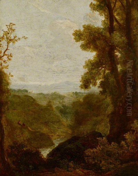Wooded Landscape - view 1