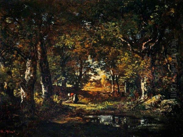 A Pool in the Forest - view 1