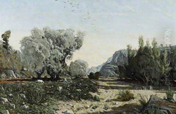 The Olive Trees - view 1