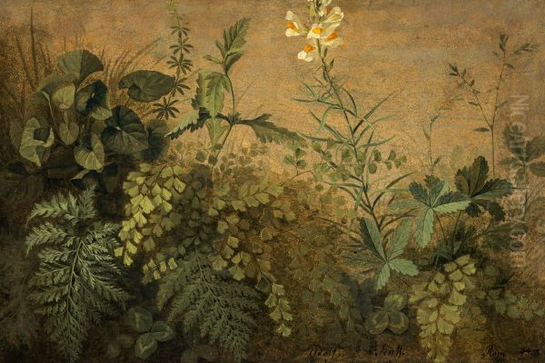 A Study of Plants - view 1