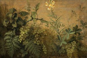 A Study of Plants