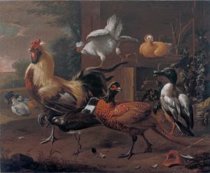 Poultry Yard