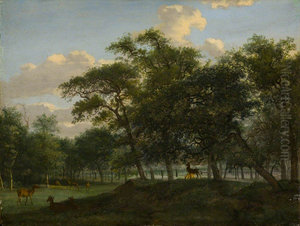 Wooded Park Landscape with Deer