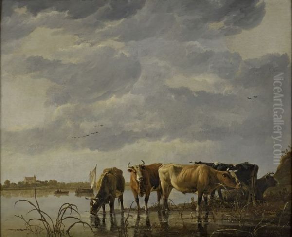 Cattle Watering by an Estuary - view 1