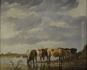 Cattle Watering by an Estuary