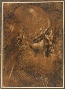 A Portrait Study Of A Bearded Man by Giacomo Cavedone