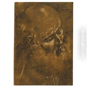 The Head Of An Old Man, Probably St Joseph by Giacomo Cavedone