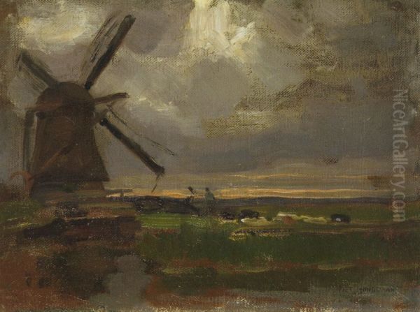 The Broekzijdse Molen on the Gein - view 1