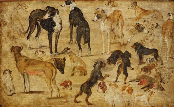 Studies of Dogs - view 1