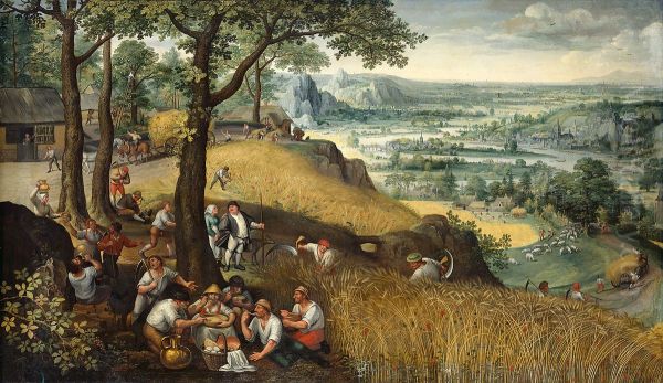 Sommerlandschaft (Juli oder August) - view 1