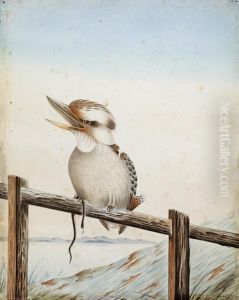 Kookaburra On A Fence With A Snake